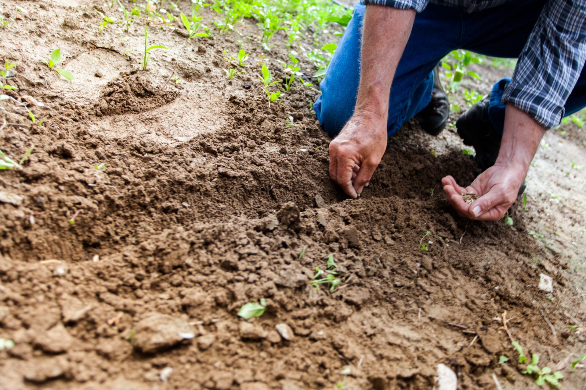 Person preparing soil