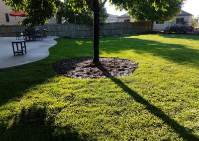 Yeti Grass Backyard