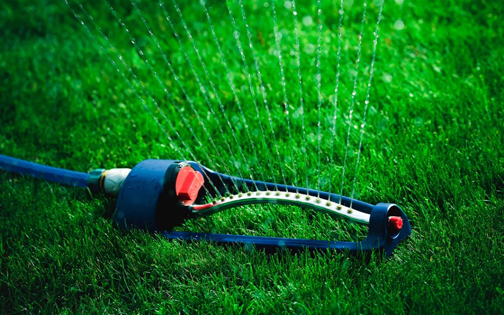 sprinkler on green grass